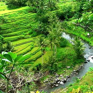 Station touristique Taman Bebek Bali, Ubud